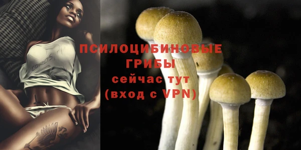 МДПВ Белокуриха