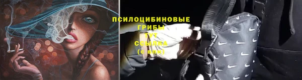 МДПВ Белокуриха